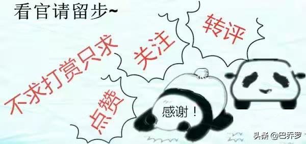 公众号运营注意事项(申请个人公众号流程及注意事项)