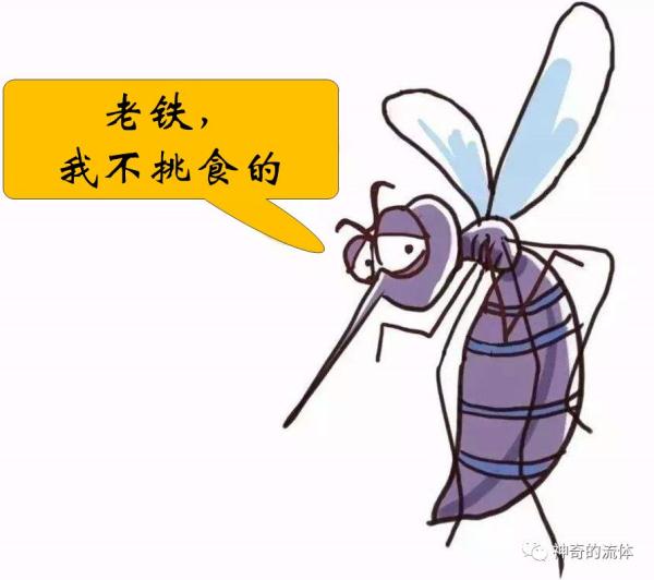 为啥有些人容易被蚊虫叮咬