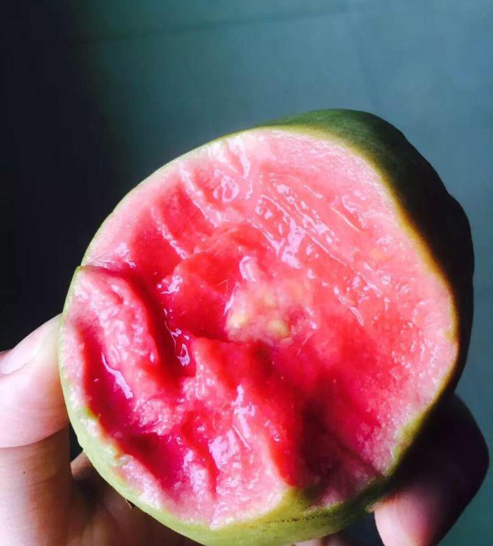 番石榴中间的籽能吃吗