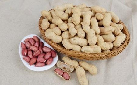 花生的功效与作用(吃花生有3大功效 4类人不适宜吃花生)