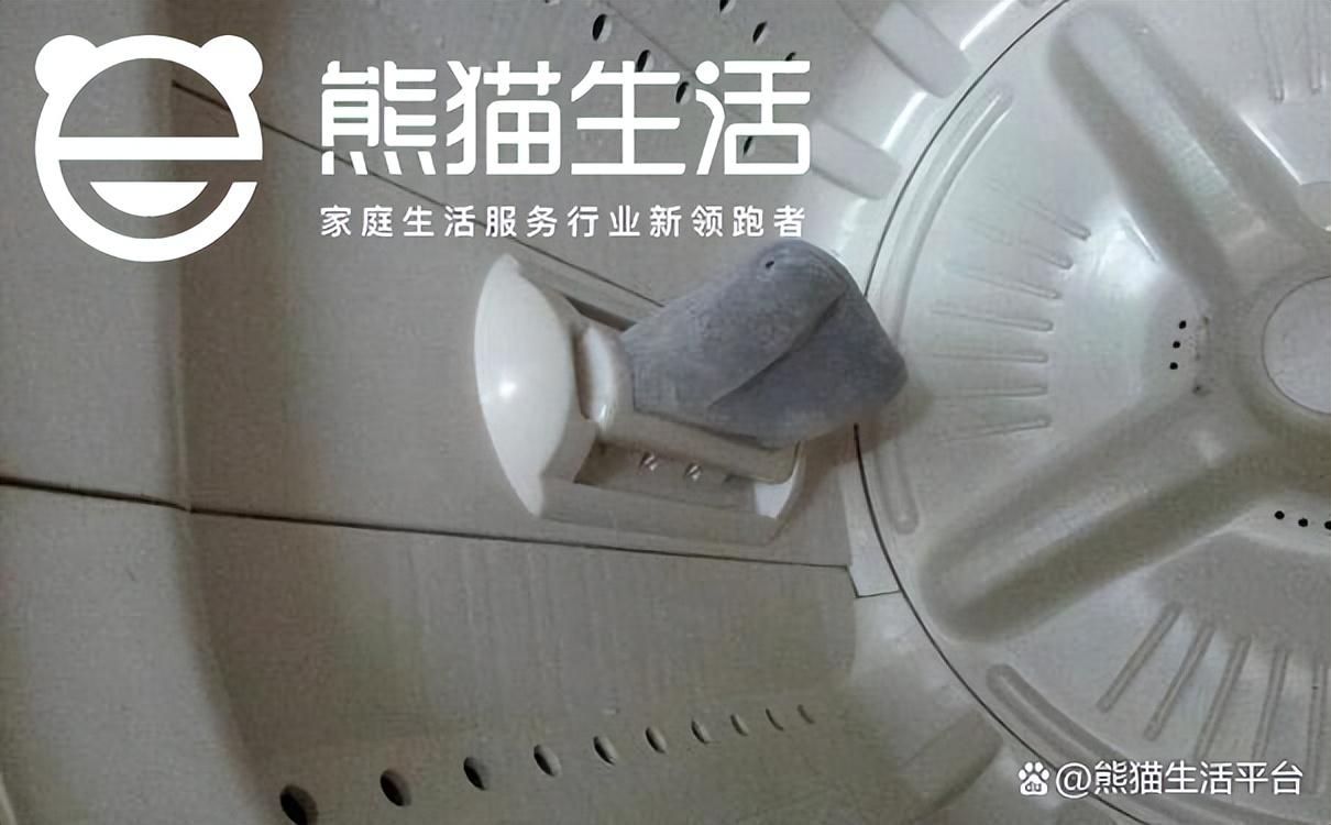 洗衣机不脱水（洗衣机不脱水怎么办）