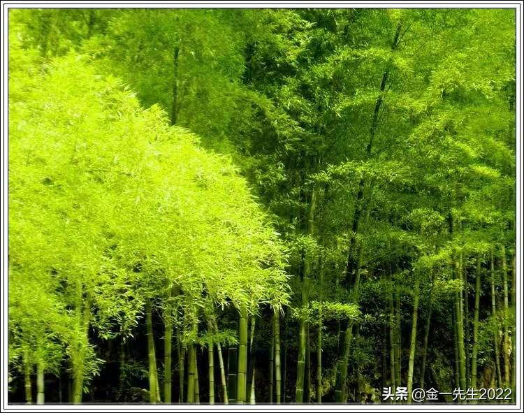 我国发行国债的种类有哪些