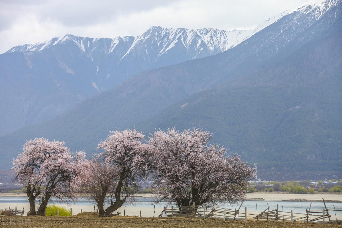 暑假去西藏合适吗（去西藏旅游需要准备什么）
