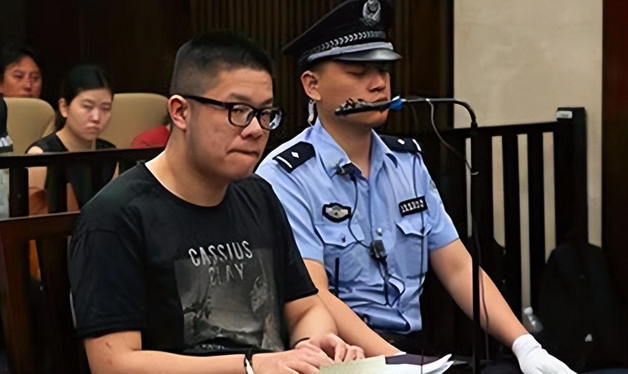 杨怡潇(张晓恩判多少年)