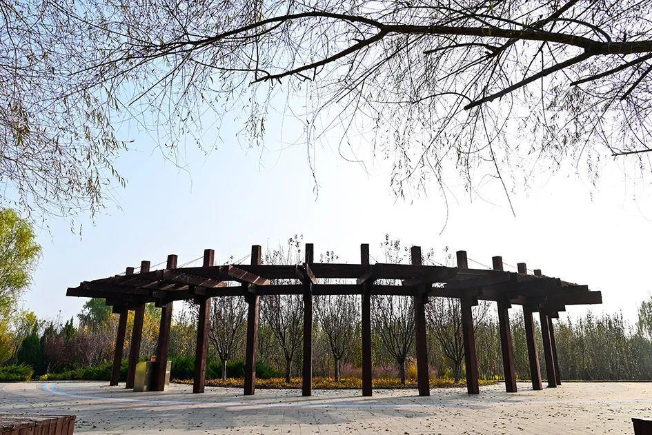 永定河森林公园 永定河公园