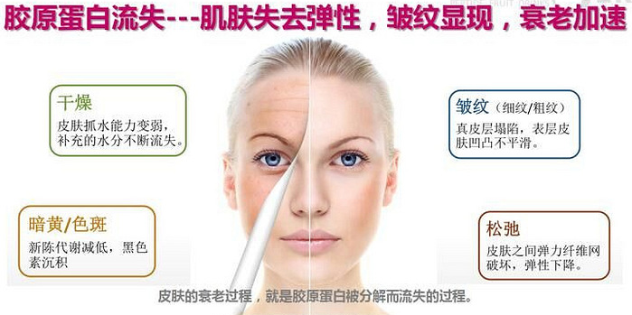 胶原蛋白肽的作用与功效（胶原蛋白的隐藏功能）