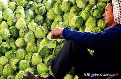 滞销是什么意思（农产品滞销深层次的原因是什么）