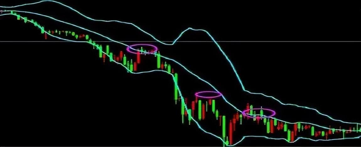 新手怎样选基金(新手基金入门)