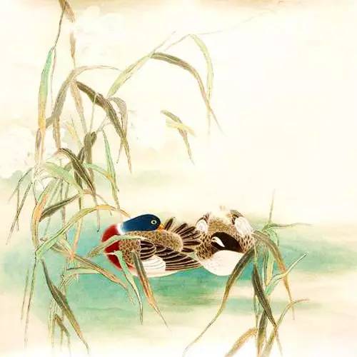 迟日江山丽的全诗意思