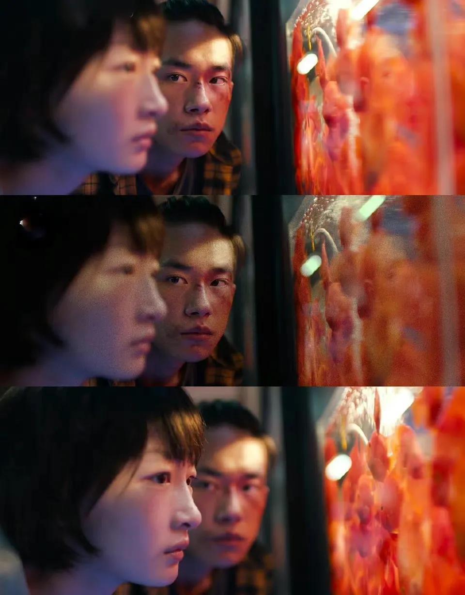 周冬雨演过的电影有哪些