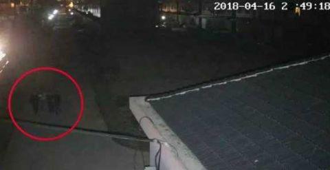 仙人跳是什么意思(云南仙人跳是什么意思)