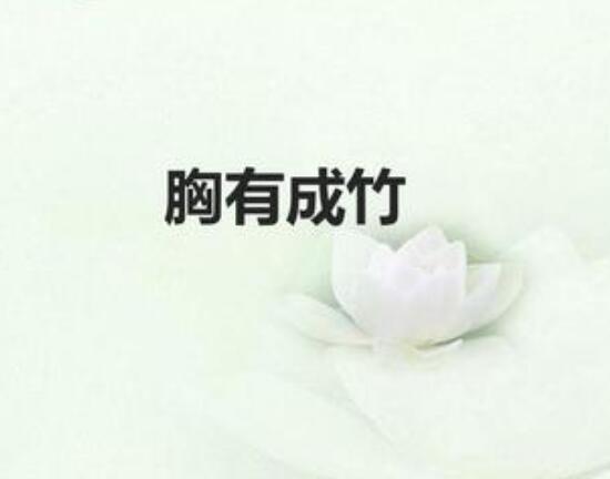 胸有成竹的主人公是谁（你想知道吗？答案揭晓!）