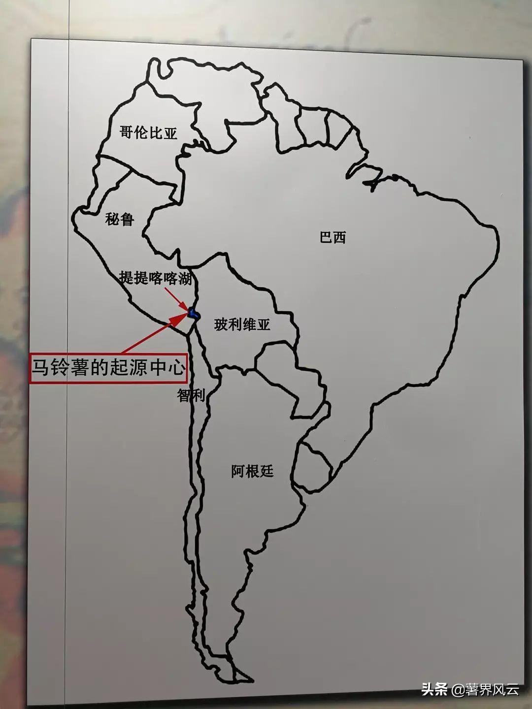 马铃薯是何时传入中国的(马铃薯怎么传入中国)