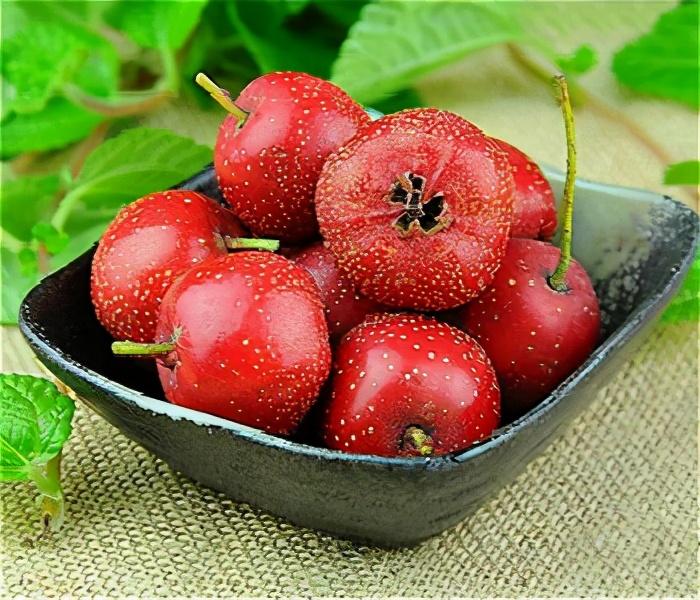 怀孕1一3月禁吃的十大水果(怀孕1一3月能吃的十大水果有哪些)