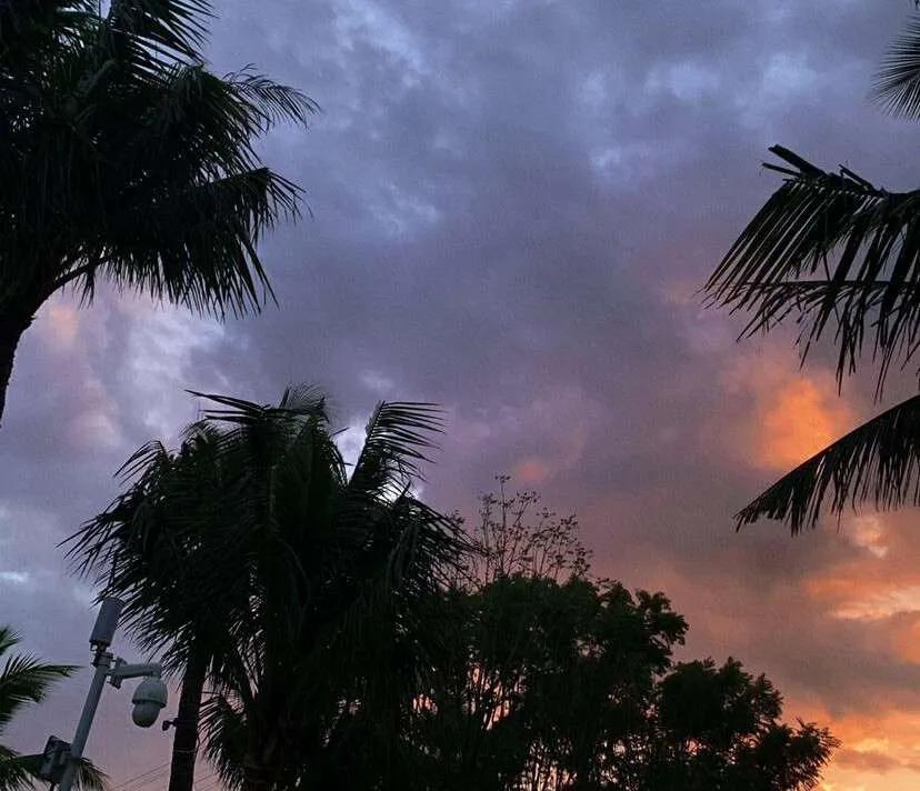 关于英语美丽人生词句(美丽人生的英文经典句子)