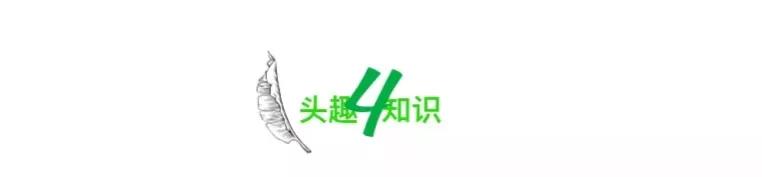 又一唐山男子犯下命案，撕下了当下一类人的病态内幕