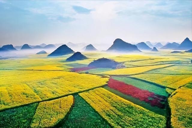 油菜花哪里看(观光油菜花)
