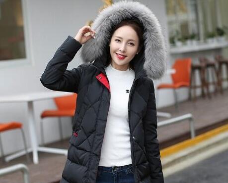 貉子毛领怎么清洗(貉子毛毛领脏了怎么清洗)