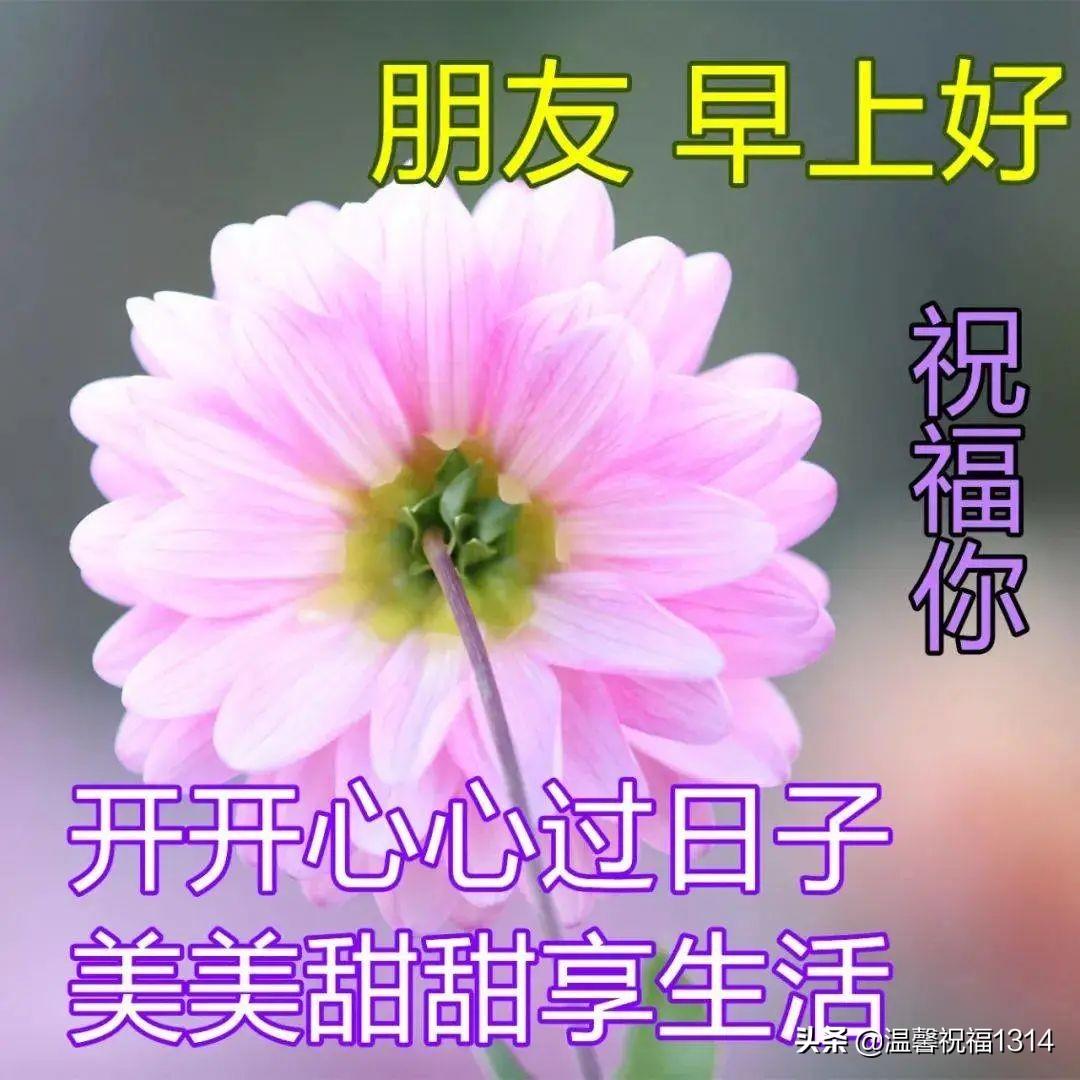 周二早上好的问候是什么(周二早上好的问候是简短的问候)