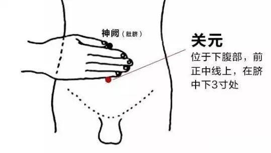 头上白发越长越多的原因是什么？