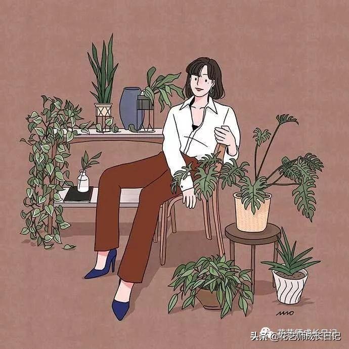 郁金香分几种颜色分别代表什么