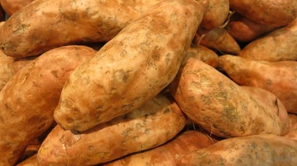 糖尿病人能吃红薯吗 降血糖最有效5种食物