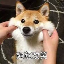 狗狗币怎么买 男子投资狗狗币10万元翻200倍无法套现！