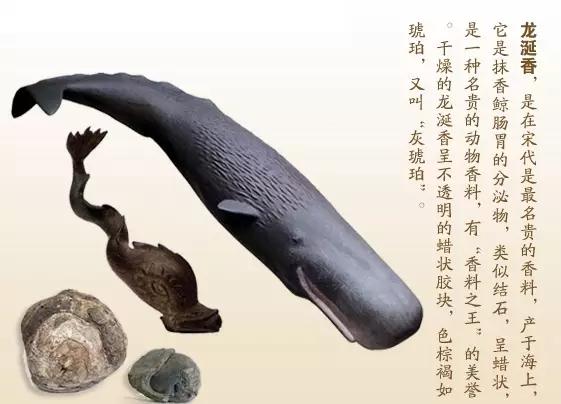 龙涎香是什么东西(龙涎香可以长期佩戴吗)