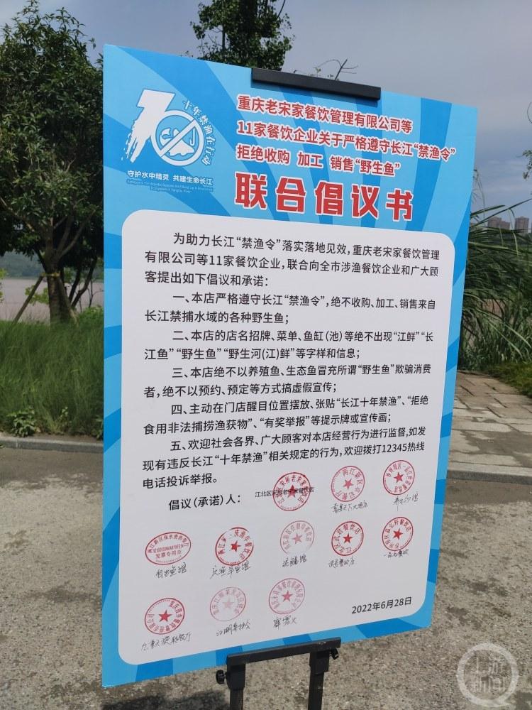 长江上有哪些鱼