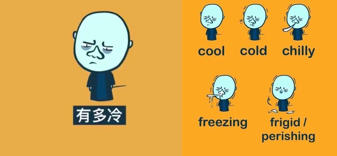 cold如何读(cold怎么读)
