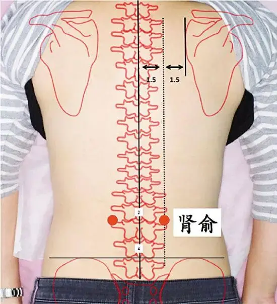 纵欲过度是阴虚还是阳虚(飞机打多了属于阴虚还是阳虚)