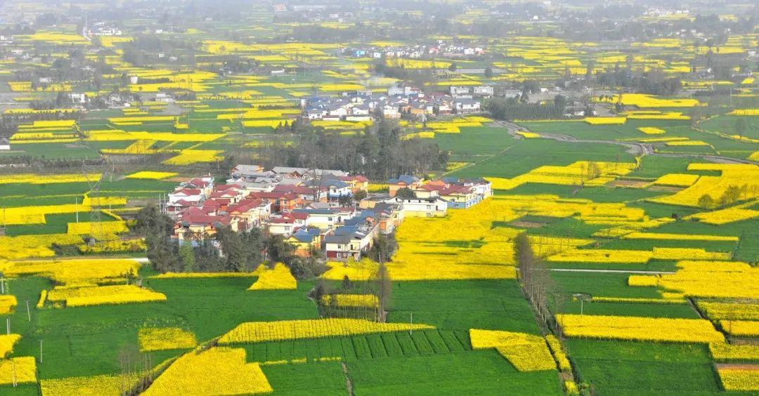李冰父子修建都江堰（都江堰是李冰还是李冰父子）