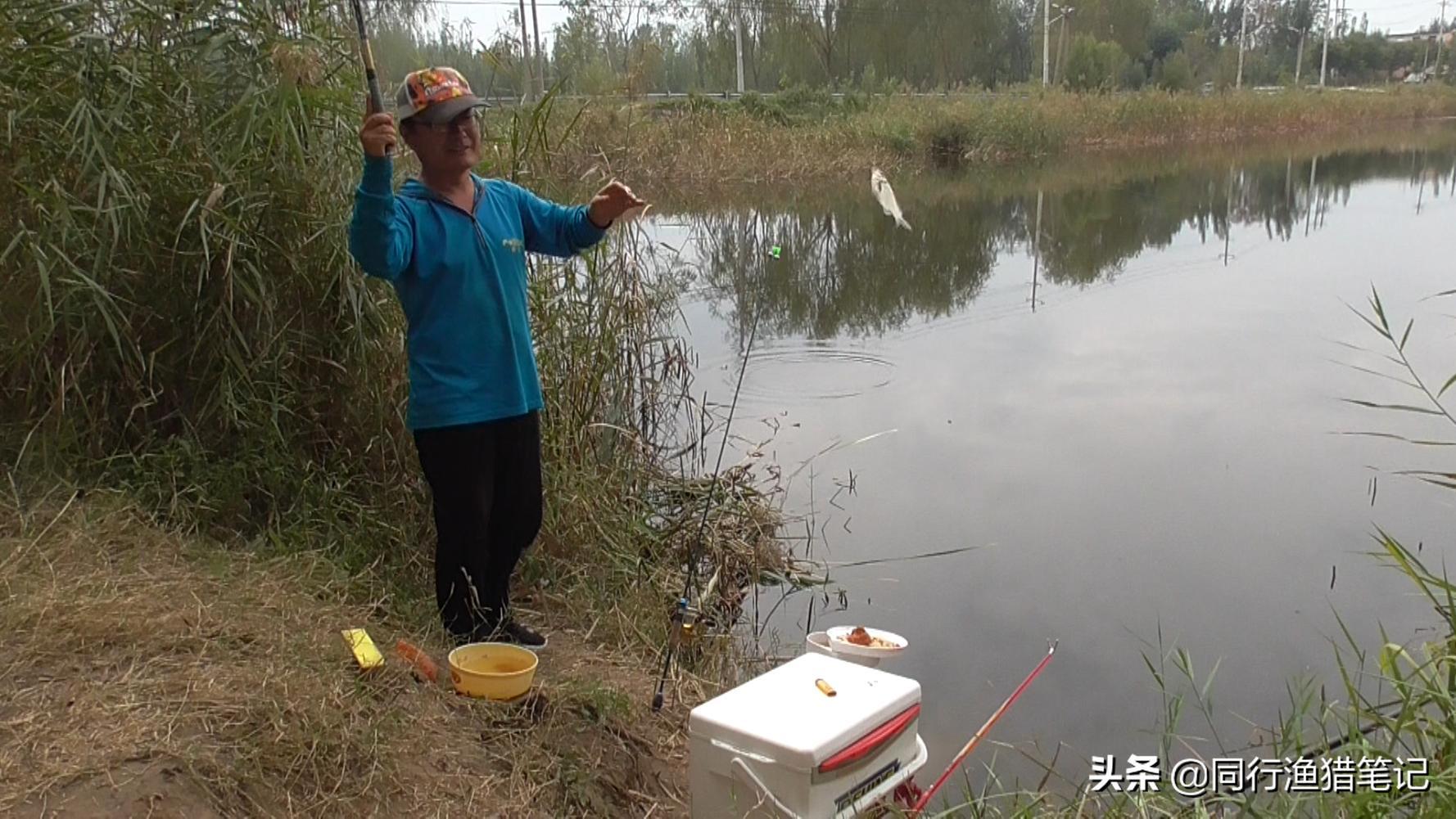 钓鲫鱼子线多长合适（冬天钓鲫鱼用多长的竿较好）