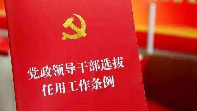 一级巡视员与正厅的区别（一级巡视员厉害吗）