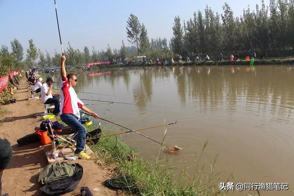 钓鱼线大小型号怎么选（钓鱼线规格与钓重对照）