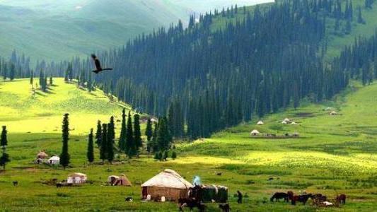 个人自费缴纳社保划算吗(为什么不建议个人缴纳社保)