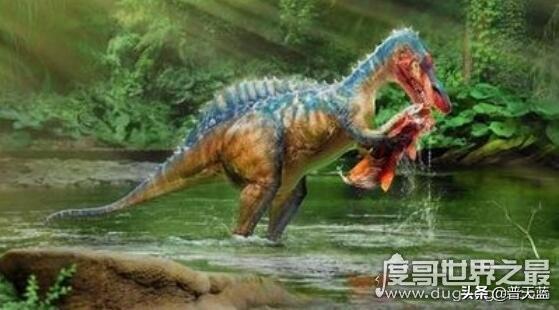 最厉害的恐龙（中国最厉害的食肉恐龙排名榜）