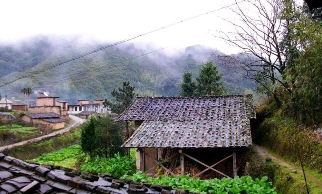 男怕初一女怕十五是什么意思（女初一男十五出生好吗）