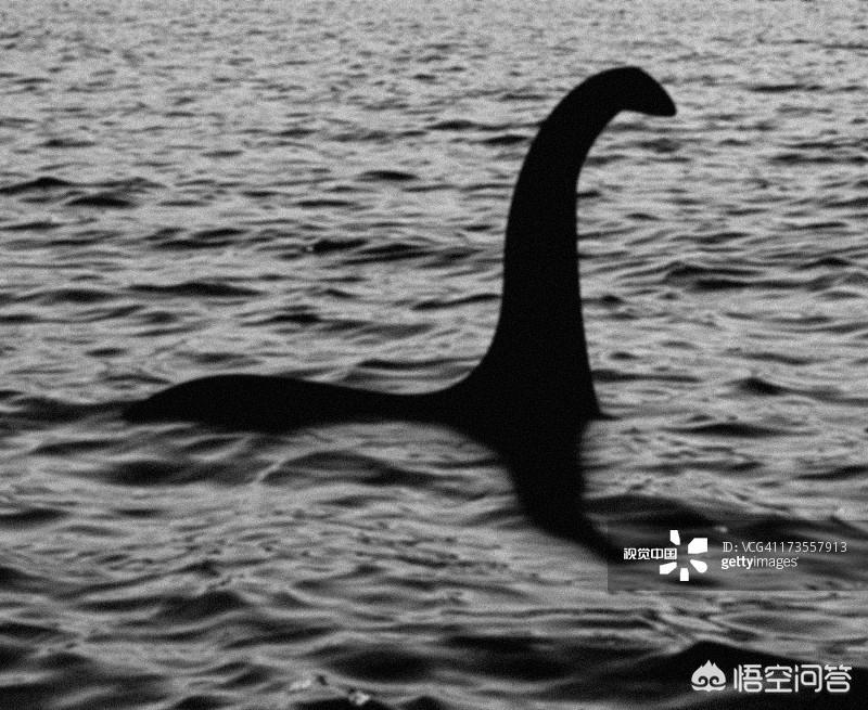 尼斯湖水怪的故事（尼斯湖水怪的真相到底是什么）