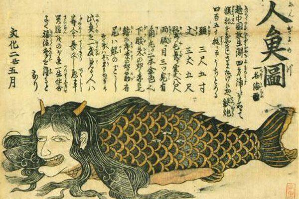 日本人吃漂亮的美人鱼（日本人真的吃漂亮的美人鱼吗）