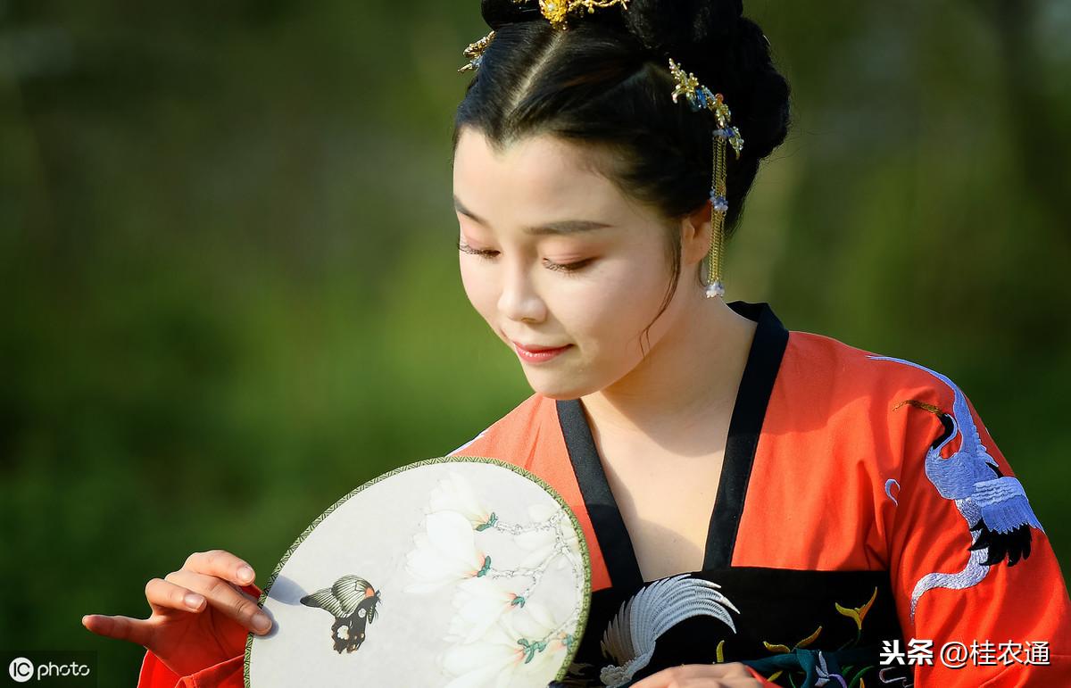 荔枝为什么叫妃子笑（妃子笑荔枝名字由来）
