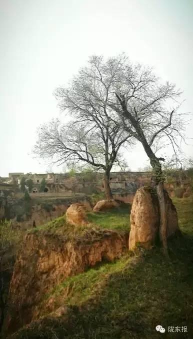 义渠国是现在的哪里（战国时期的义渠是现在的哪里）