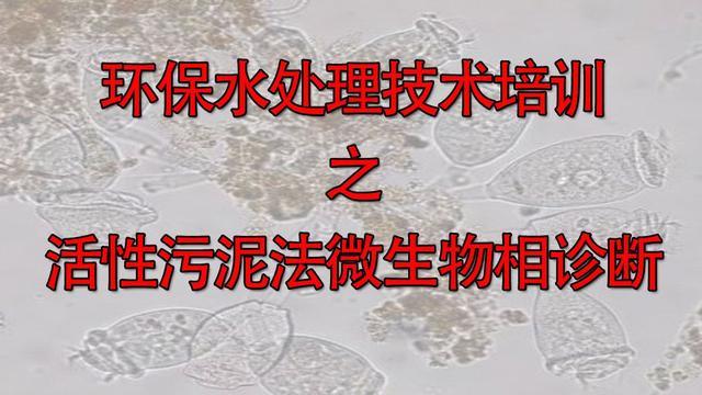 水解酸化池中填料的用途是什么（水解酸化池中填料的作用是什么）