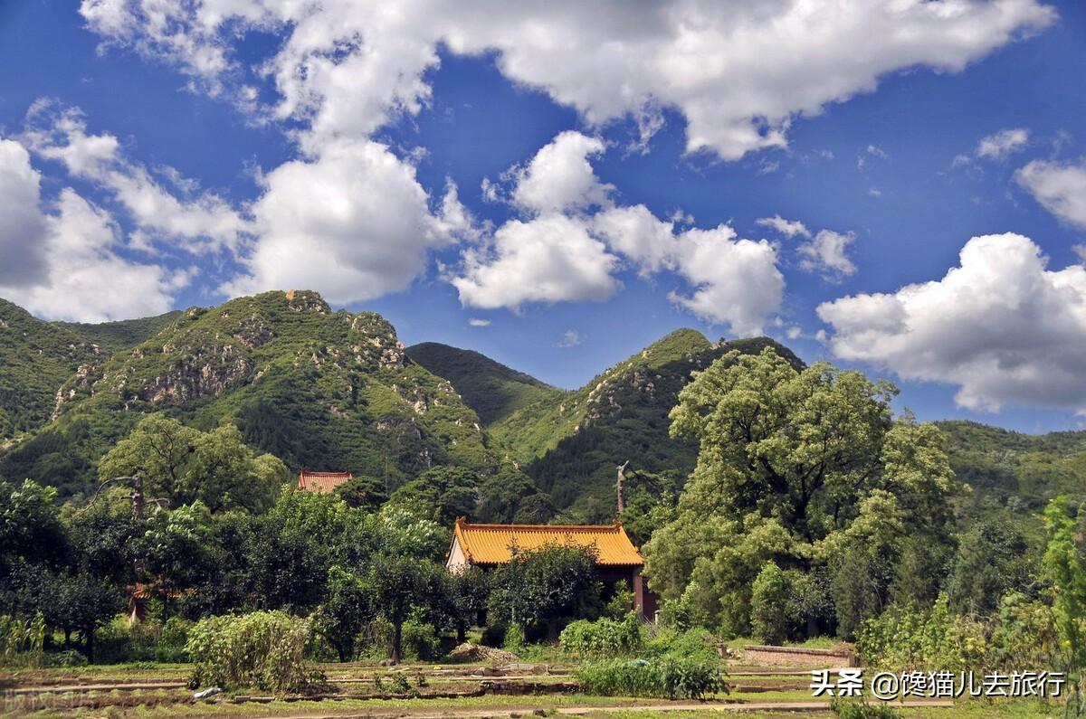 十三陵开放的是哪个陵（为什么明十三陵只挖了定陵）