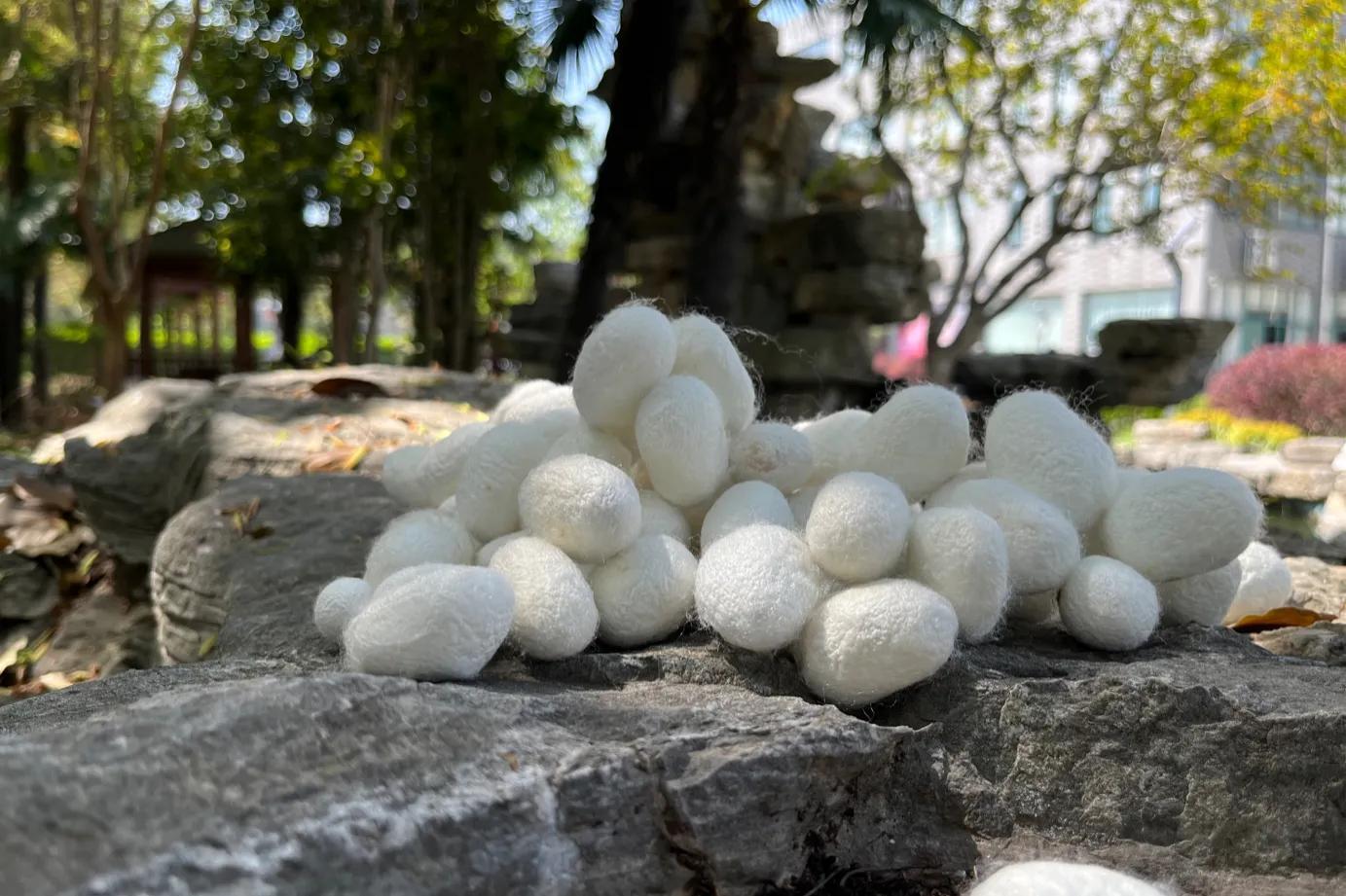 蚕丝被子的优缺点（丝棉被子跟蚕丝被有什么区别）