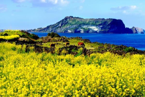 韩国时差与中国差多少（韩国和中国的时差相差多少）