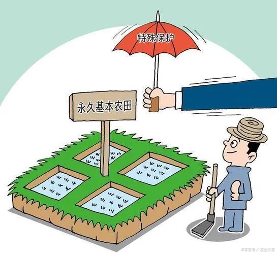 基本农田和一般农田的区别（基本农田是怎么划分的）