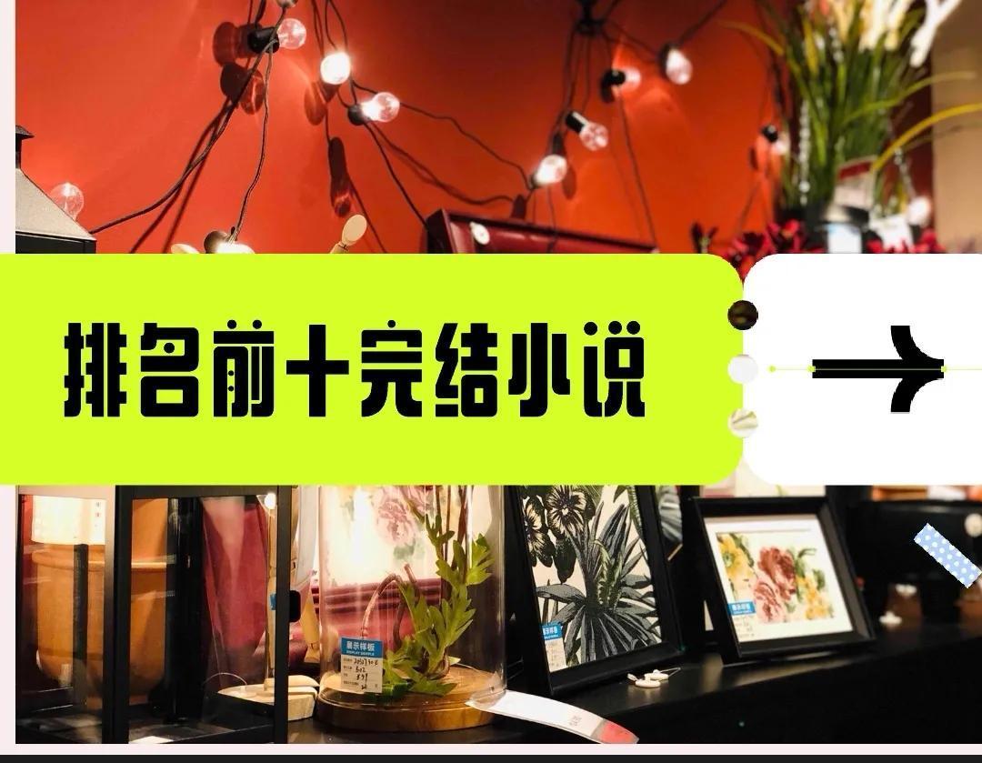 已完结小说排行榜（最火小说排行榜前十名已完结）