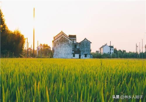 一亩地等于多少平方米?（土地面积计算公式）
