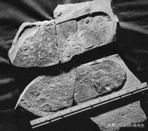 玛雅预言的五大预言是什么（玛雅预言第五个预言已经实现）